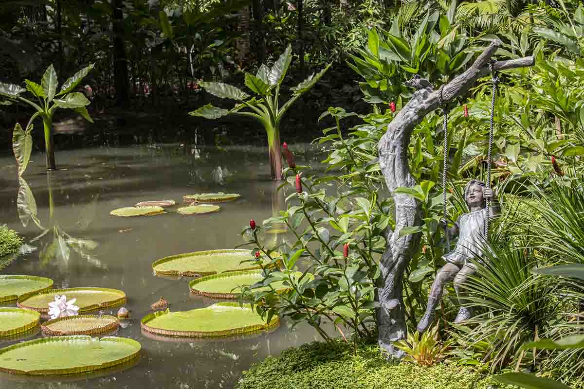 Singapore Botanic Gardens