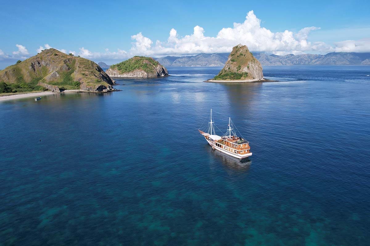 How to see Komodo dragons