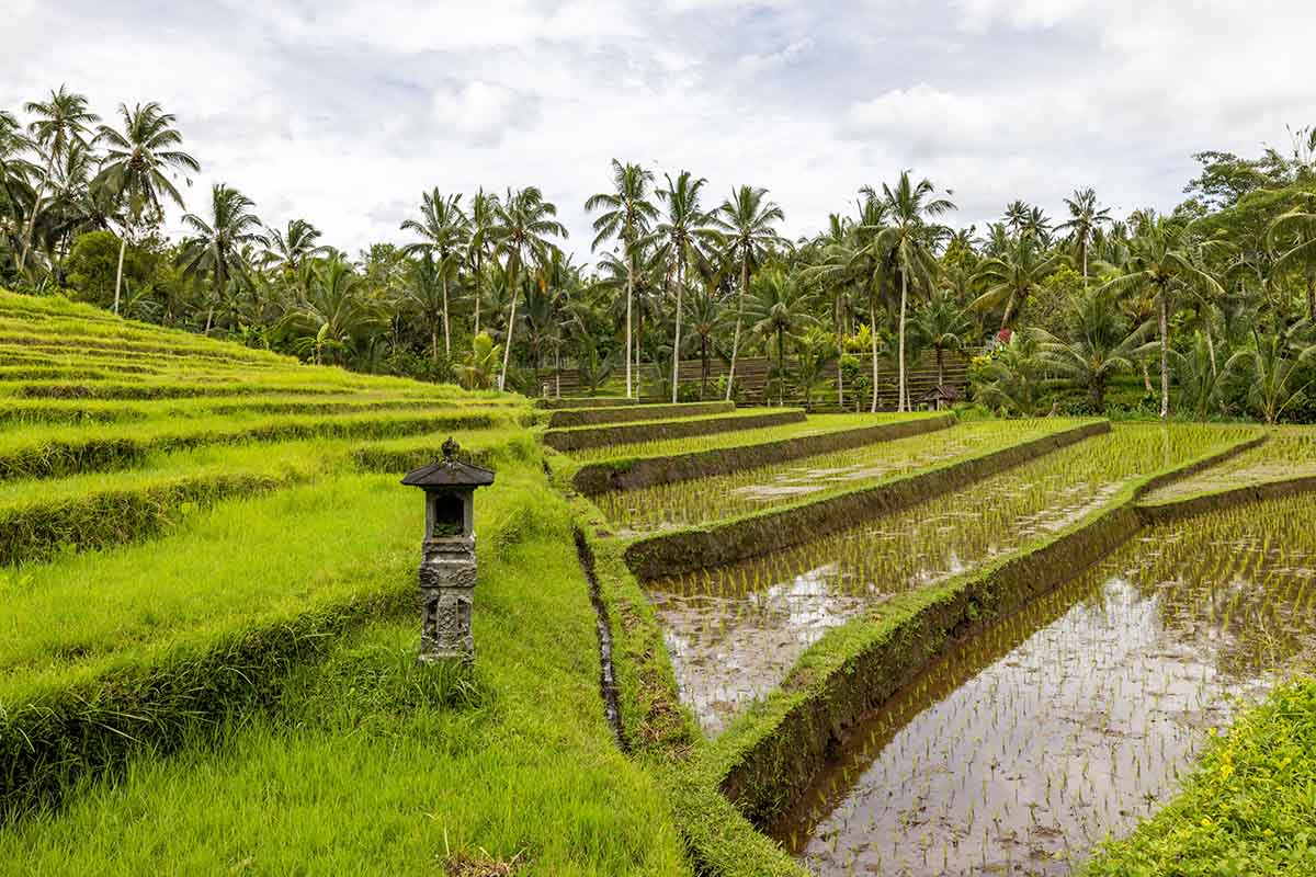 Bali to Java Itinerary