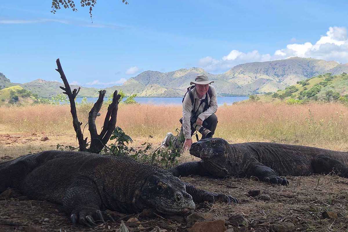 Komodo dragons